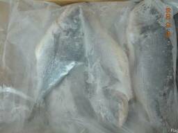 Дорадо (Дарадо)