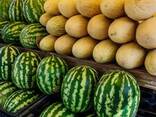 Арбуз Казахстан с логистикой - фото 1