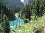 Экотуры выходного дня в Алматинской области - фото 3