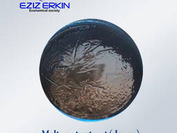 Экстракт солодкового корня (густой)