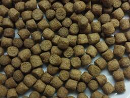 Экструдированный корм для прудовых рыб