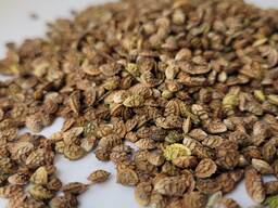 Эспарцет ( семена кормовых трав )