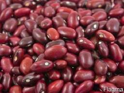 Фасоль красная томатная