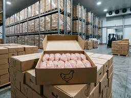 Филе куриное An-Noor, Urussa