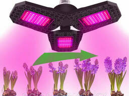 Фитолампа трехлепестковая E27 красно-синий спектр