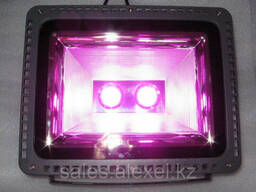 Фитосветильник светодиодный полного спектра для теплиц 100W