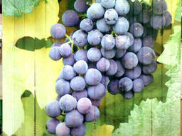 Фотопечать на вертикальных жалюзи