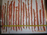 ASC, MSC frozen fish products from the cold store in Lithuania. - фото 7