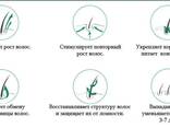"Гарни" 100% натуральный лосьон для роста волос и против выпадения! - фото 3