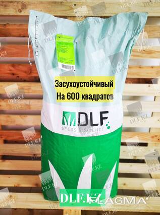 Газонная трава DLF Trifolium