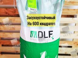 Газонная трава DLF Trifolium