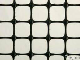 Георешетка