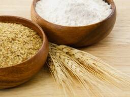 Глютен пшеничный в/с (пшеничная клейковина)