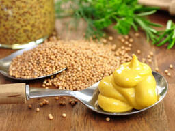 Горчица белая, черная, желтая / mustard