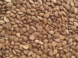 Горький миндаль