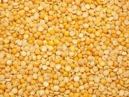 Горох колотый, шлифованный