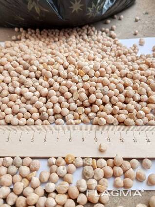 Горох жёлтый продовольственный