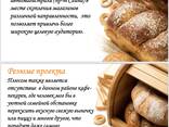 Готовый бизнес - Семейная пекарная - photo 1