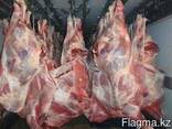 Говядина халяль оптом Казахстан, Азербайджан, Узбекистан - фото 3