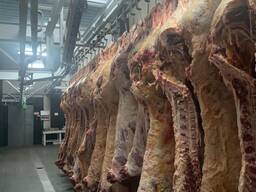 Говядина на кости