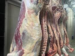 Говядина на кости 1 категории