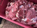Предлагаем говядину на Казахстан блочную по сортам, полутуши корова бык охлаждёнка и замор - фото 1