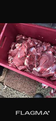 Предлагаем говядину на Казахстан блочную по сортам, полутуши корова бык охлаждёнка и замор