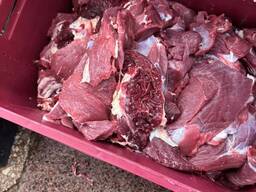 Предлагаем говядину на Казахстан блочную по сортам, полутуши корова бык охлаждёнка и замор