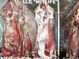 Говядина Телятина Мясо Халяль оптом Украина LLC Mitlife - фото 2