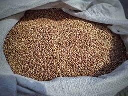 Гречка с доставкой по СНГ