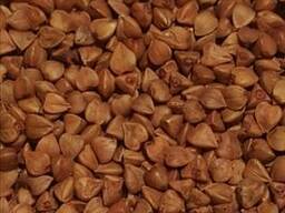 Гречка от производителя Гост