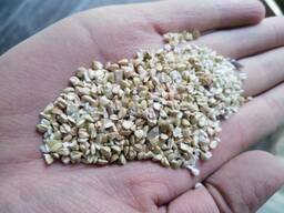 Гречневая продел зеленая