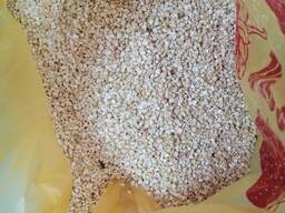 Қарақұмық проделі жасыл FCA Павлодар