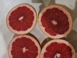 Грейпфрут экспорт из Турции