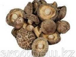 Грибы Шиитаке сушеные 100 гр.