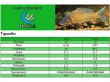 Haida Fishery - фото 5