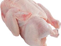 Halal Frozen Whole chicken