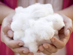 Хлопок делинт