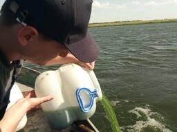 Очистка водоёмов