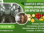 Холодильные склады. Сухие и теплые склады в аренду. - фото 3
