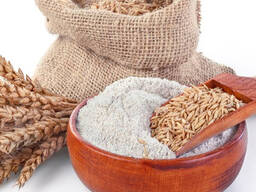 Hot Sale All-Purpose Wheat Buckwheat Flour Export 50kg a Grade No Additives 18 Months