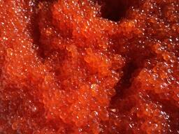 Икра красная лососевая Горбуша Камчатская весовая. Нерест 2025 г