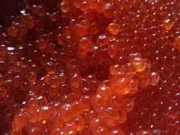 Икра красная лососевая Кета Камчатская весовая. Нерест 2025 г