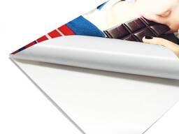 Интерьерная печать на Backlit (Бэклит)