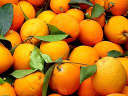 Иранские апельсины