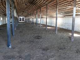 Ищу инвестора-партнера для сельхозпредприятия