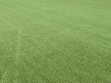 Искусственный газон - фото 3