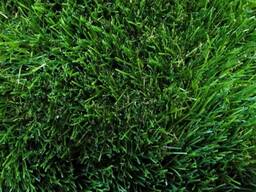 Искусственный газон (искусственная трава) для декора от 2 кв м! Доставка по Астане!