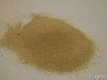 Известняковый песок 0,3-1,0мм, корм, мел - photo 3