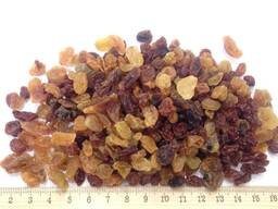 Изюм Голден- Чалифар